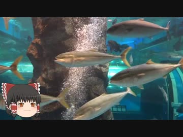 ゆっくりれいむのアクア放浪記　#36　魚津水族館