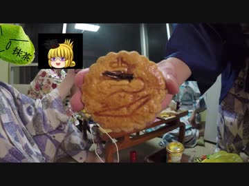 斬さんはDSCと旅がしたい　第9話(全滅編②)