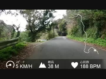 貧脚がロードバイクで志賀島潮見公園を目指してたがダウンヒル
