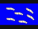 ハチノコ
