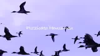 Pizzicato House mix