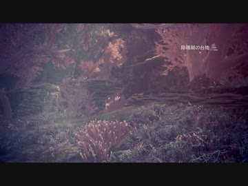 #11【MH:W】珊瑚が有名なリゾート地がSNS映えする【実況】