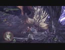【MHW】ネルギガンテ　片手剣　11分00秒91【片手剣ソロ】