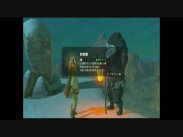 厄災を振り払う剣となれ ゼルダの伝説ブレスオブザワイルドを実況9
