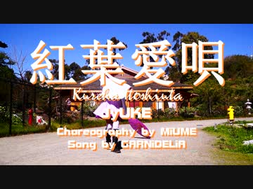 【Jyuke】 紅葉愛唄 【踊ってみた】