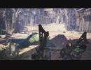 【MHW】闘技大会01 プケプケ　ライトライト 00'53"23