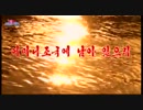 조선가요 어머니조국에 남아 있으리 朝鮮歌謡 母なる祖国に残る