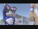 深夜にトイレに行けますか？　Nekomew's Potty Trouble １夜目