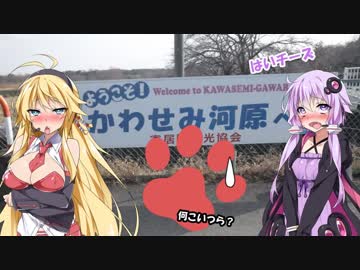 【XSR700】かわせみ河原編① EP.4（ボイスロイドは愉悦を求める）