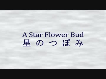 【野々原くろと】星のつぼみ【オリジナル曲】