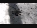 （ゆかマキ解説）変態忍者の、狩猟＆有害鳥獣駆除従事活動記・その２３