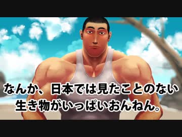 無人島で一人助けを待つげんげん