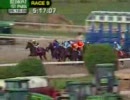 【競馬】　ピーターパンステークス　2008