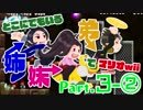 どこにでもいる姉妹弟でNewスーパーマリオブラザーズWii実況！【Part.3-②】