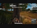 【YTL】うんこちゃん『PLAYERUNKNOWN'S BATTLEGROUNDS』part221【2017/12/28】