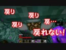 友人とスカイブロックの世界へ行ってみた(part6)