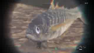 【MHW】釣りハン日誌 第一回 キレアジ編【釣り動画】