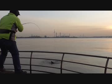 釣り動画ロマンを求めて 129釣目(臨港パーク：みなとみらい 周辺）
