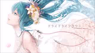 『ドライドライフラワー』歌ってみた＊゜