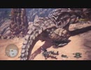 【MHW初見】心優しきほとけが降り立つモンハンワールド：05【実況】