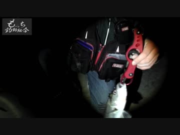 もっち釣動組合♪♯１４　【シーバス】