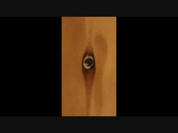 私のベッドにいる木目マン