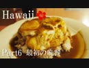 【ゆっくり】南国ハワイ一人旅　Part6　最初の晩餐