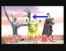 ピカチュウも暴れだす!?(改造スマブラpart4)