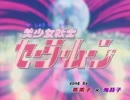 「ムーンライト伝説」　歌ってみた　【リット】