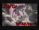 プロハン（笑）ＭＨＷに立つ!　アンジャナフ編!!