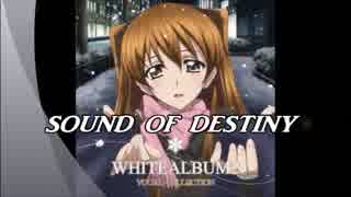 SOUND OF DESTINY feat.わたあめ