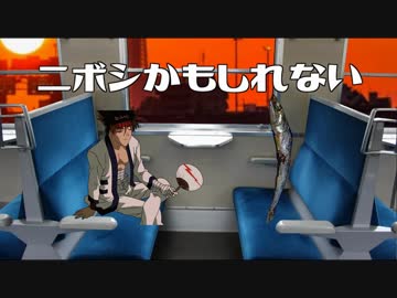 ニボシかもしれない