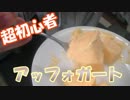 アッフォガートとやらを作ってみます。　お菓子作り素人の成長記録 FILE.4
