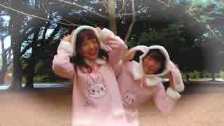 【カメラも一緒に】ウサギのキモチ【踊ってみた！？】