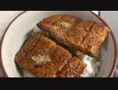 エクセルのニュース／うなぎの蒲焼にソックリな商品 【魔女のニュース】