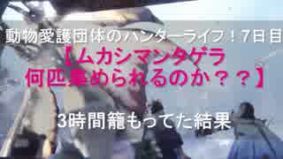 ムカシマンタゲラ一カ所に何匹集められるか3時間検証してた[]実況・検証