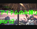 【MHW】バゼルギウスを爆殺してみたー【アイテムのみ縛り】part2