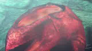 ゼノシリーズ大好きだからゼノブレ２初見実況 part1