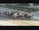 2018年　第10回 ユングフラウ賞（SⅡ）【エターナルモール】