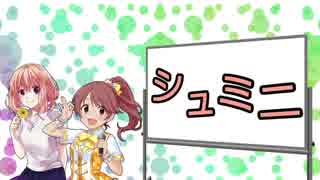 シュミニフォルダー