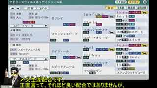 【ウイポ】お馬さんでもできるSP昇華箱庭の作り方・第9回