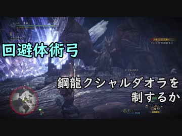 回避体術弓は鋼龍を制するか【モンスターハンター：ワールド】
