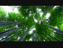 【疑似m@s】竹！ 3. 2. 1. S・P・A・C・E↑↑
