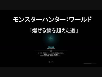 【PS4】モンスターハンターワールド　その7（VCあり）【MHW】