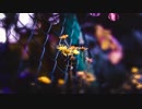 ｛テスト｝Joakim Karud - Dreams
