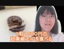 １粒1500円の超高級チョコ食べてみた