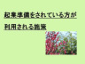 起業準備をされている方が利用される施策