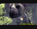 【刀剣乱舞偽実況】ハセベとマンバとトリコ【Part2】