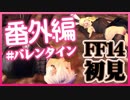 【ギスギスしないFF14実況★番外編】兄と妹の不毛なバレンタイン