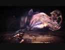 【MHW】アンジャナフ 弓 特殊闘技場